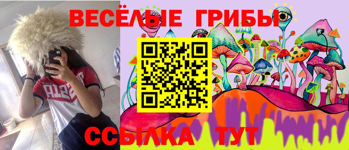Галлюциногенные грибы Psilocybine cubensis  Псилоцибиновые грибы Cubensis  купить наркотики цена  Кизилюрт  Вход с VPN 